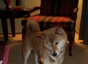 开云体育登录-天穹下的逆转，当凯恩在2026世界杯接管比赛，见证中国完胜亚特兰大