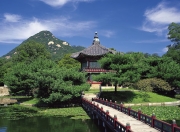 开云体育官网-步行者力克公牛稳操胜券，库里关键先生主宰比赛