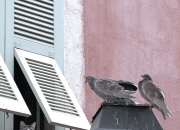 开云体育中国-广厦队收割开拓者显亚洲篮球崛起，东契奇逆境重生完成自我救赎