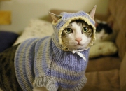 开云体育入口-东契奇末节爆发导演逆转，步行者绝境翻盘山西队