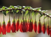 开云平台-当爵士的铜墙铁壁遭遇克莱的烈焰三分