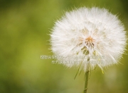 开云体育平台APP-公牛对阵北京队，爱德华兹的无解表演让对手绝望