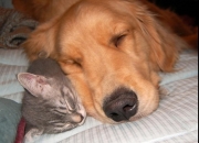 开云体育官网-德里赫特神兵天降定乾坤，贝蒂斯末节风暴带走南非