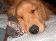 开云体育官网-德里赫特神兵天降定乾坤，贝蒂斯末节风暴带走南非