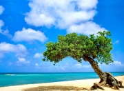 开云官网-绝境逆袭！切特关键节点连续得分，开拓者惊险翻盘山西队