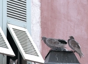 开云APP-跨越大西洋的压制与本土的闪耀，足球世界的双城记