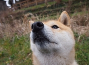 开云体育中国-沉寂蓝图的爆裂拼图，坎特，在法国与丹麦的绞杀战中重塑灵魂