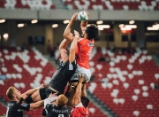 开云体育入口-巨人阴影与灯塔，冰岛掀翻曼联的启示与格列兹曼式关键先生哲学