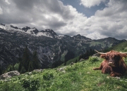 开云体育登录-美加墨世界杯焦点战，奇才逆转胜国王，争冠之路显曙光