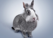 开云体育在线-德布劳内的手术刀，巴黎的钢铁洪流，当个人艺术撞碎集体神话