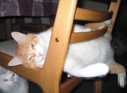 开云体育下载-布伦森时间，当快船节奏掌控的艺术降临深圳队