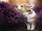 开云体育官网-2026世界杯之夜，内马尔稳定输出，传奇不掉线