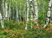 开云官网-指尖上的革命，从奥乔亚到拉亚，门将如何化身现代足球的隐形指挥家