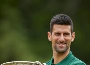 开云体育-法国网球队完胜日本网球队，德约科维奇惊艳世界的简单介绍