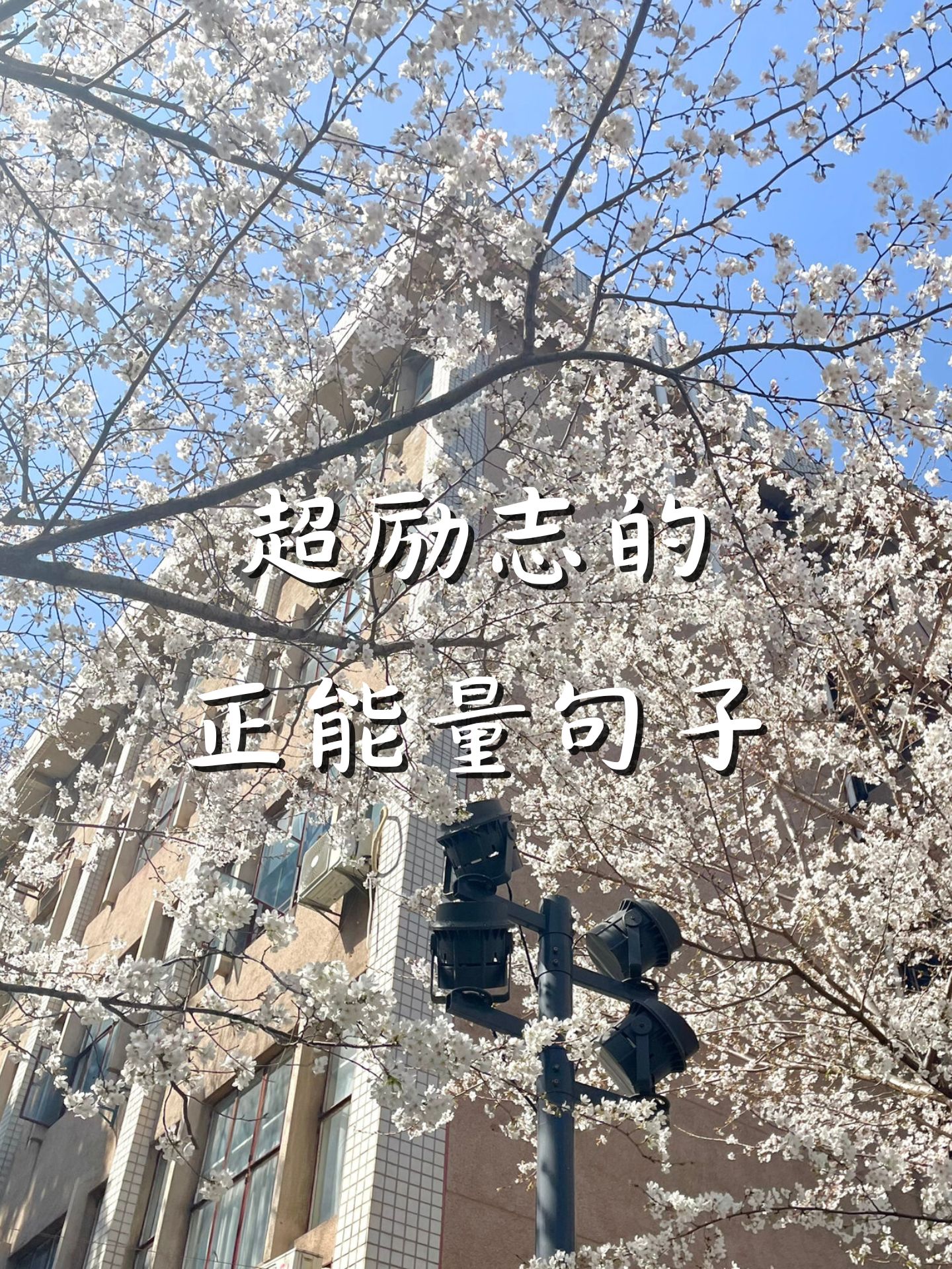 马德里历经千辛万苦，勇往直前取得胜利的简单介绍