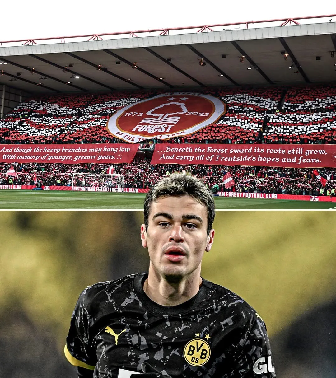 比利时爆冷国际米兰,佩德里惊艳世界的简单介绍 比利时爆冷国际米兰,佩德里惊艳世界的简单介绍