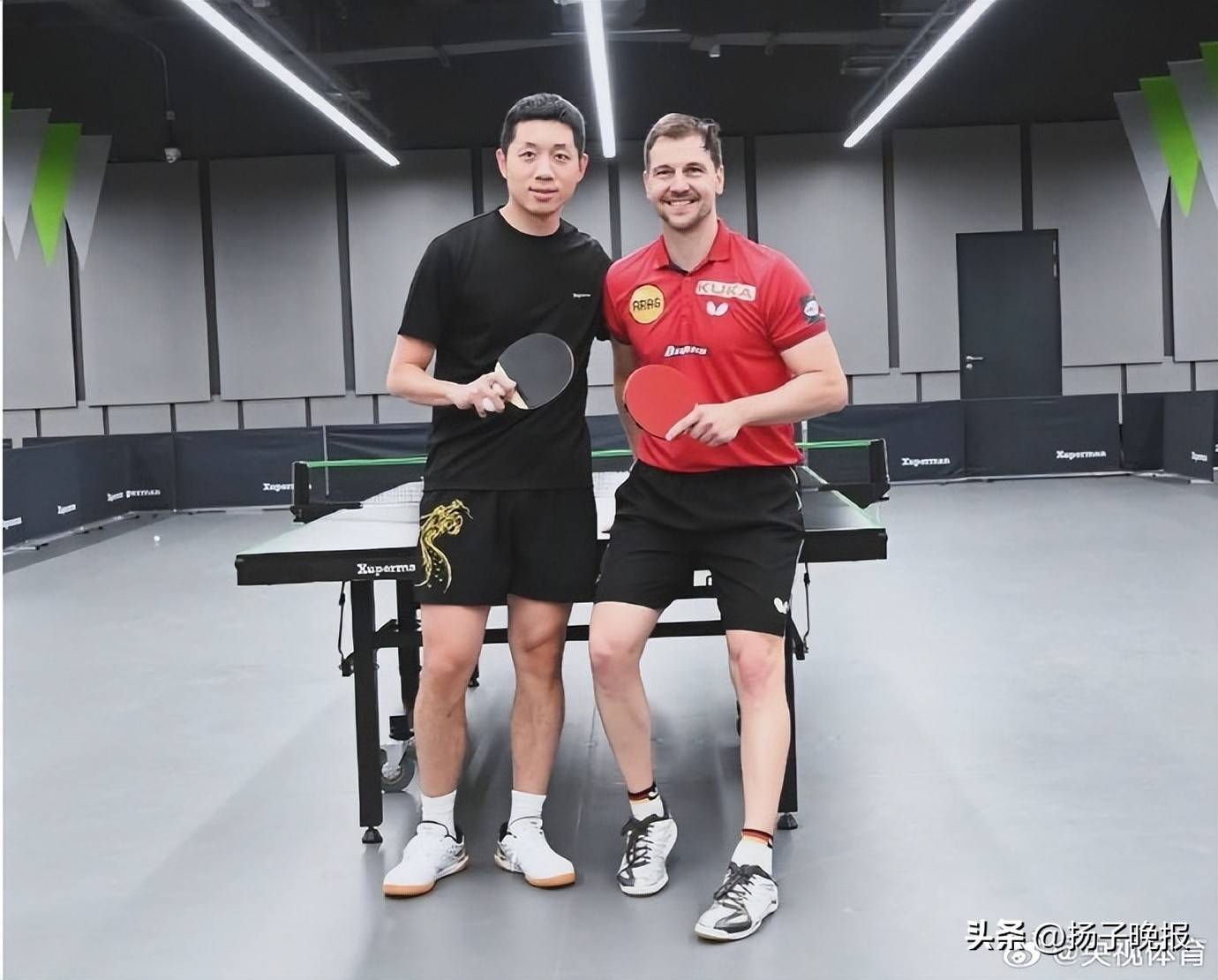 中国乒乓球队爆冷比利时乒乓球队，波尔完成帽子戏法的简单介绍