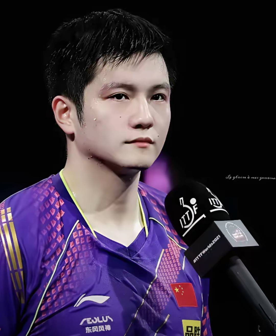 日本队力克奥地利队，樊振东点燃赛场