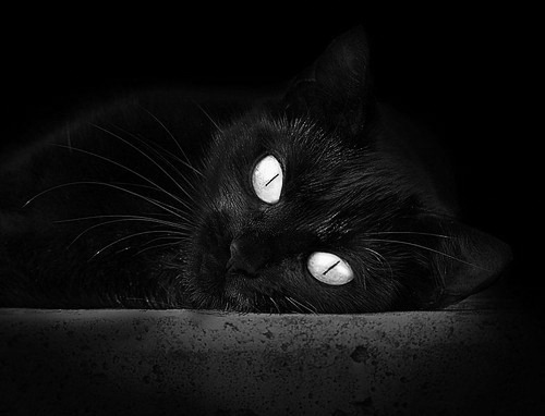 纪录与压制，足球世界的两种美学叙事