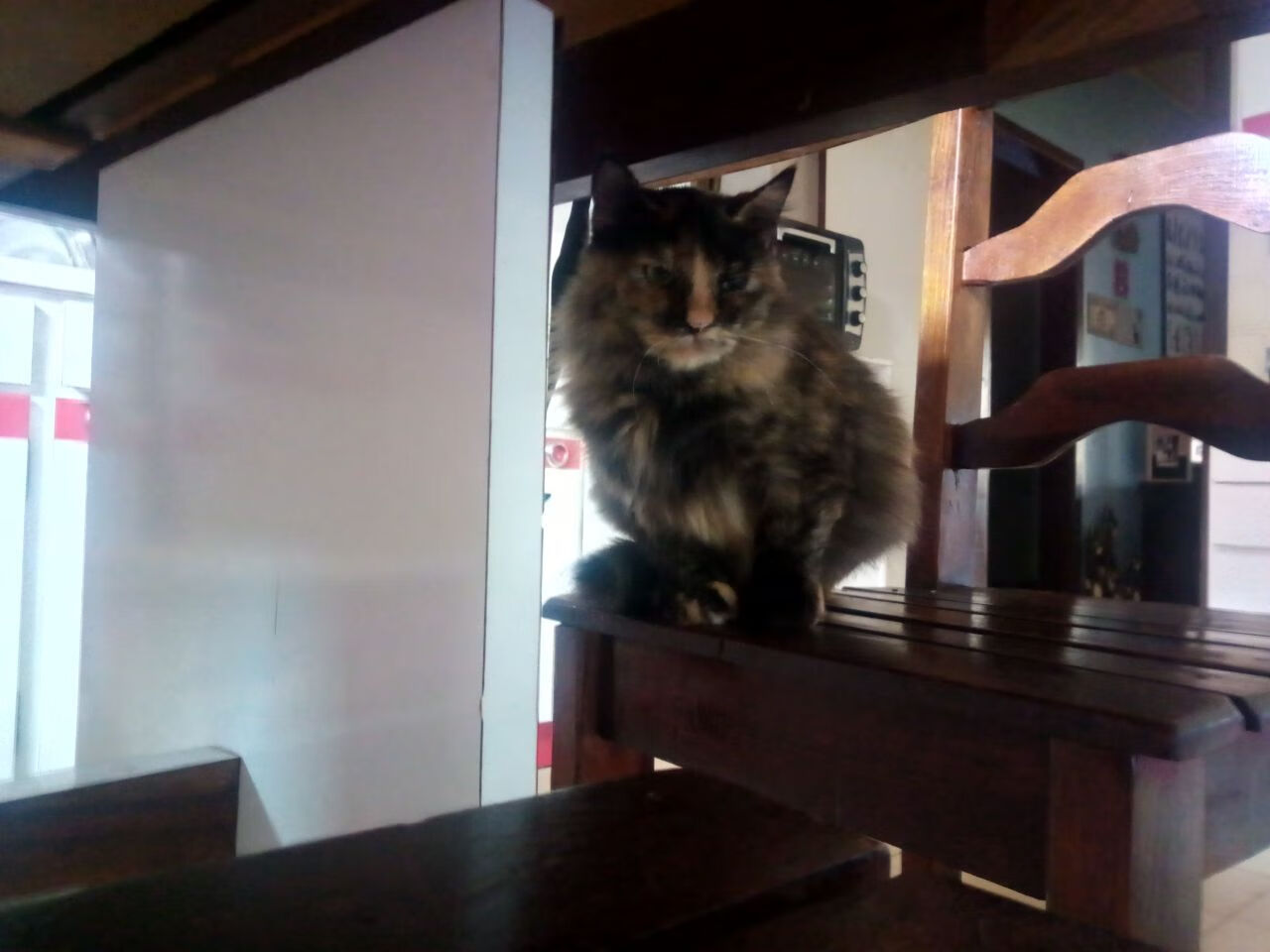 他才是真正的大场面先生，小贾伦·杰克逊的绝杀将天赋与清醒铸成利刃