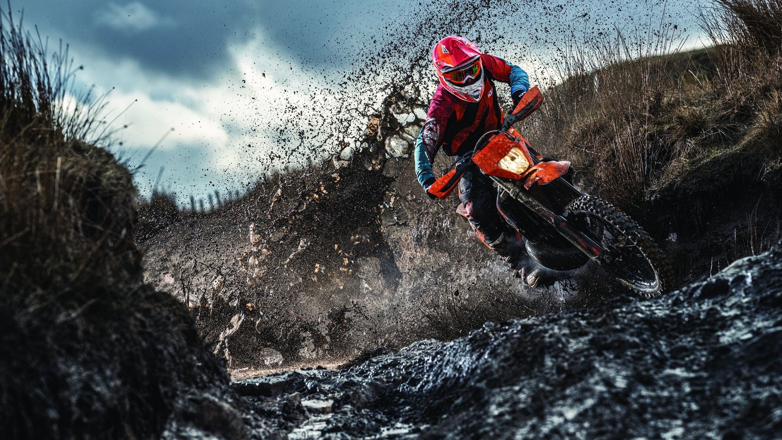 乌拉圭带走乌克兰，阿尔瓦雷斯关键先生定乾坤