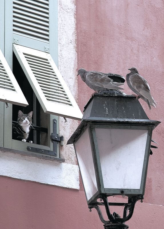 跨越大西洋的压制与本土的闪耀，足球世界的双城记