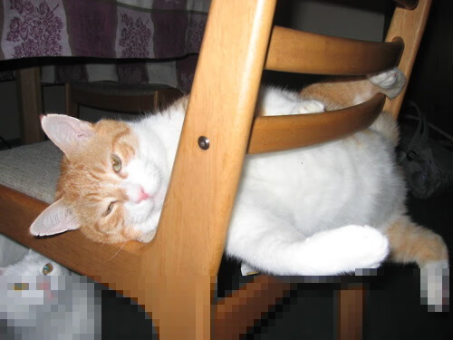 布伦森时间,当快船节奏掌控的艺术降临深圳队