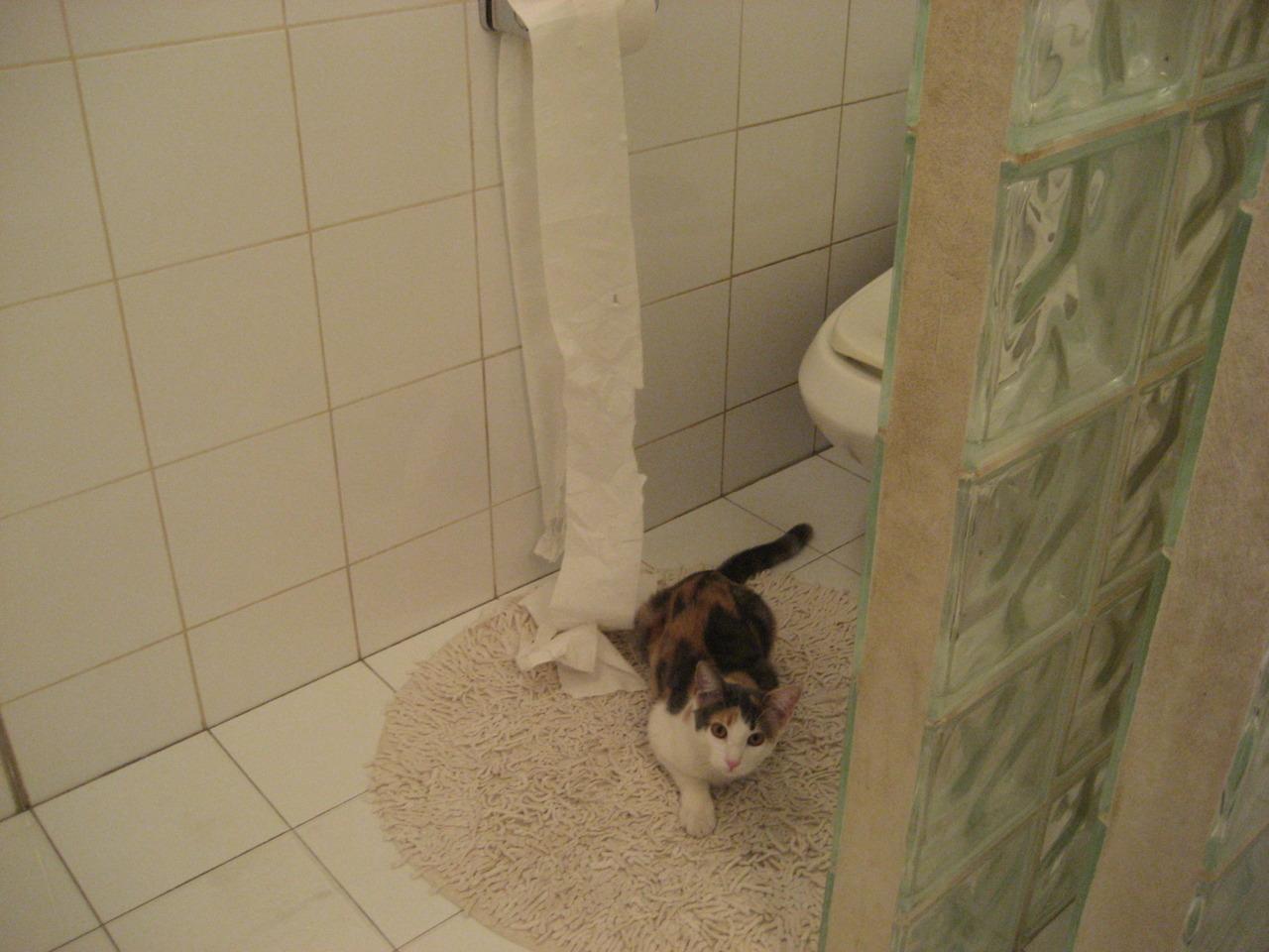 爱德华兹爆发带队取胜，骑士淘汰赛强势过关广东队